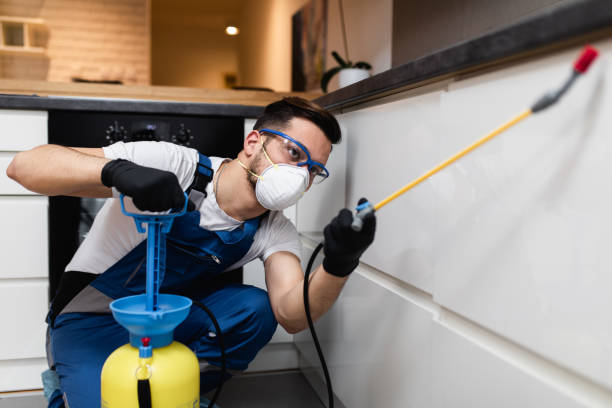Best Emergency Pest Control  in Whispering Pines, NC