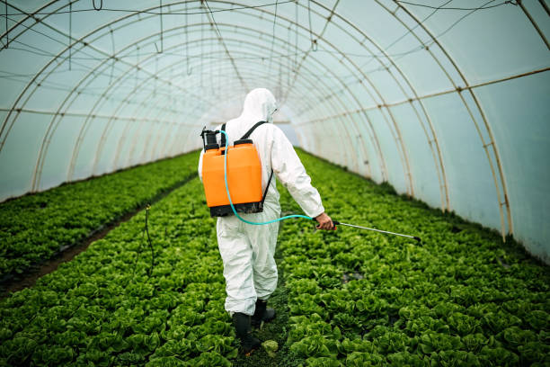 Best Pest Inspection Near Me  in Whispering Pines, NC
