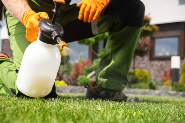 Best Cockroach Control Services  in Whispering Pines, NC