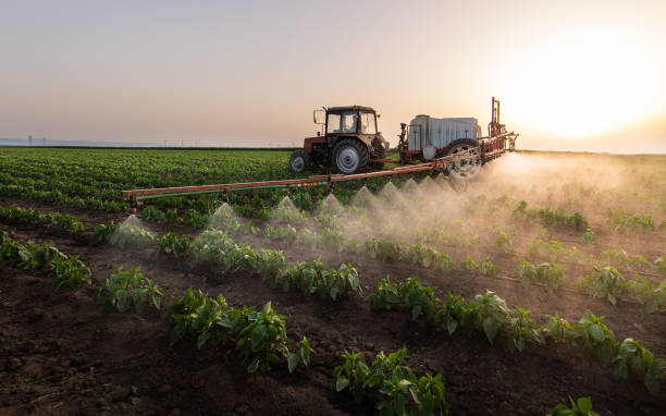 Best Commercial Pest Control Services  in Whispering Pines, NC