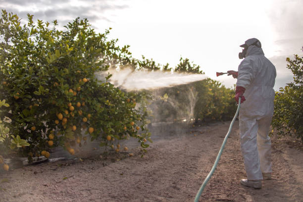 Best Local Pest Control Services  in Whispering Pines, NC