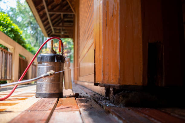 Best Affordable Pest Control Services  in Whispering Pines, NC