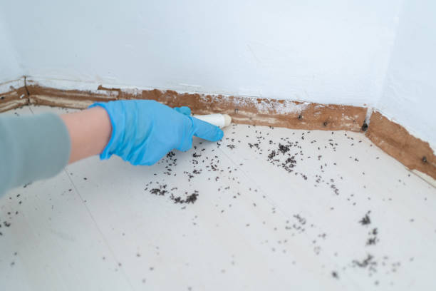 Best Pest Control Near Me in Whispering Pines, NC