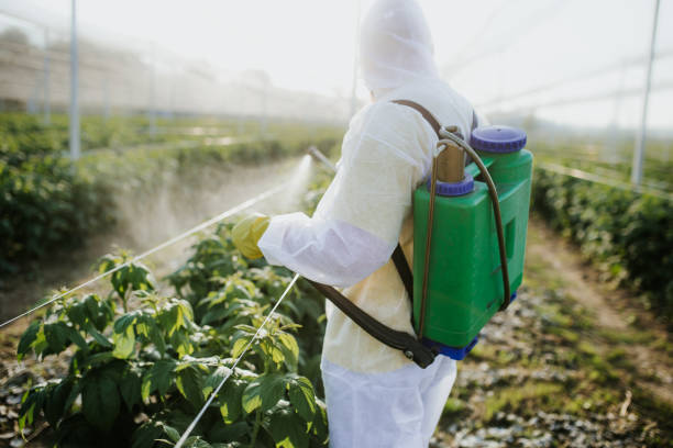 Best Flea Control Services  in Whispering Pines, NC